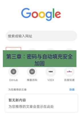 谷歌浏览器下载 第三章：密码与自动填充安全加固